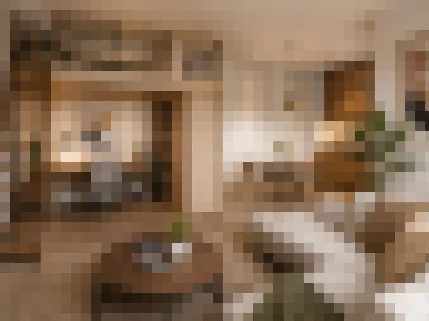 Groene Kamer 24 Aalten thumbnail 7