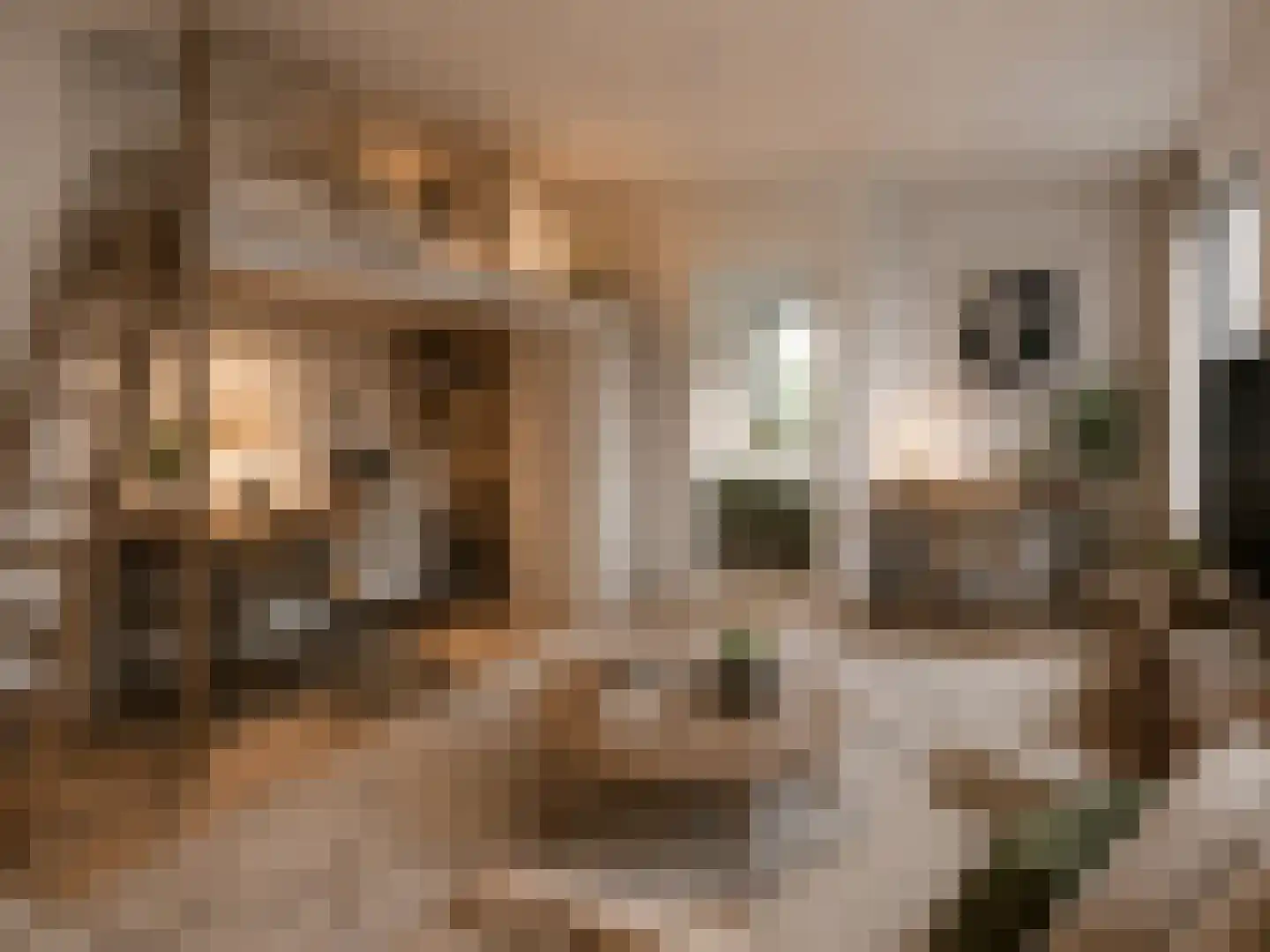 Groene Kamer 26 Aalten thumbnail 8