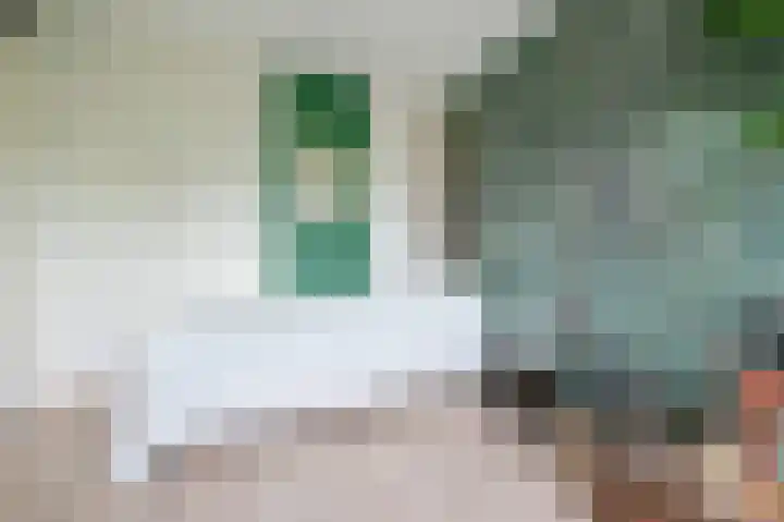 Groene Kamer 29 Zeewolde thumbnail 17
