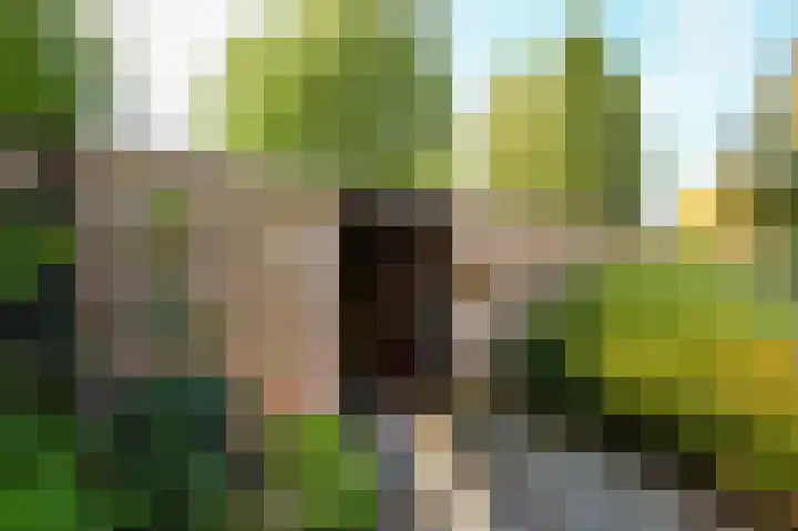 Groene Kamer 29 Zeewolde thumbnail 35