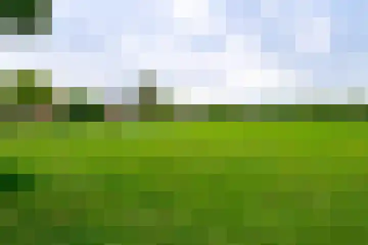 Groene Kamer 29 Zeewolde thumbnail 39