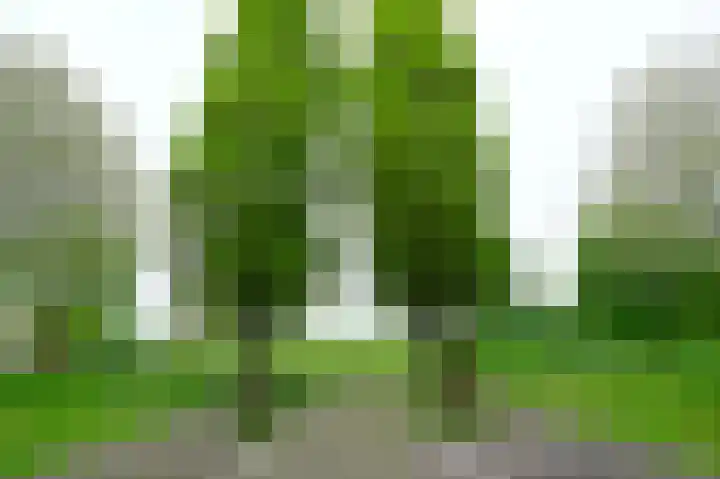 Groene Kamer 29 Zeewolde thumbnail 40