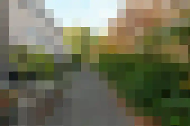 Groene Kamer 29 Zeewolde thumbnail 41