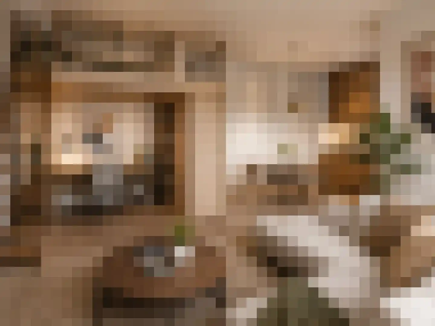 Groene Kamer 30 Aalten thumbnail 6