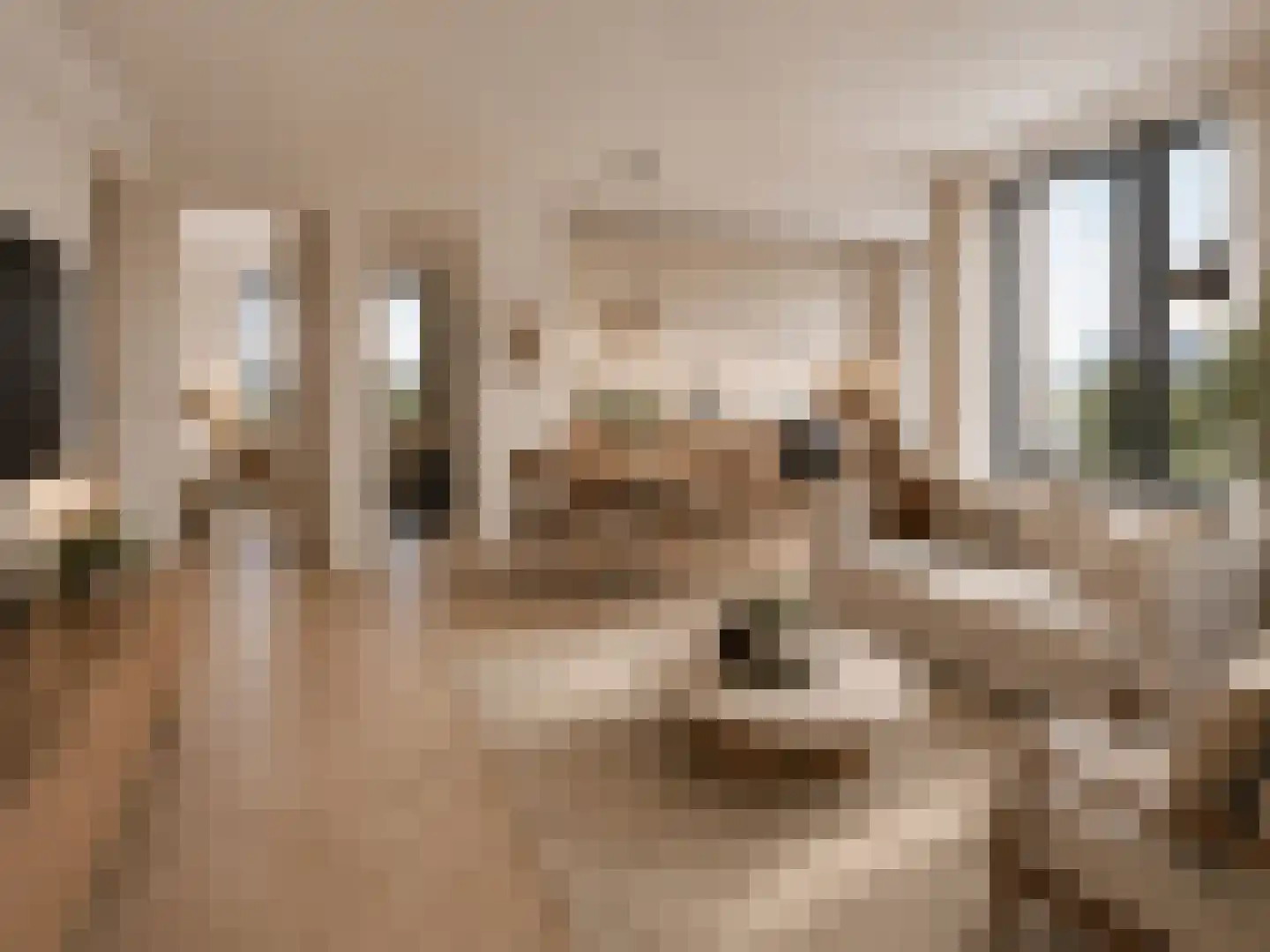 Groene Kamer 32 Aalten thumbnail 8