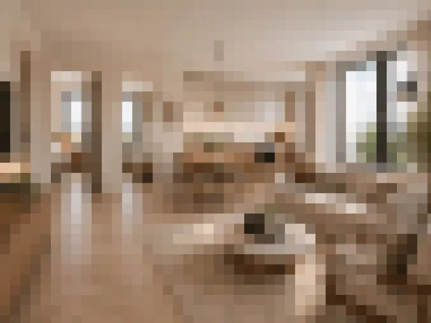 Groene Kamer 34 Aalten thumbnail 6