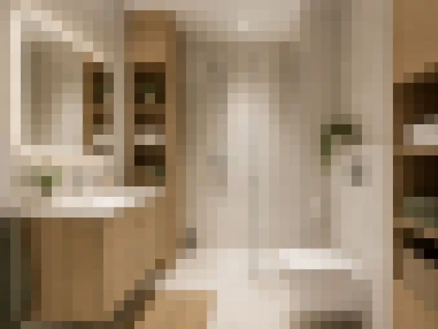 Groene Kamer 36 Aalten thumbnail 4