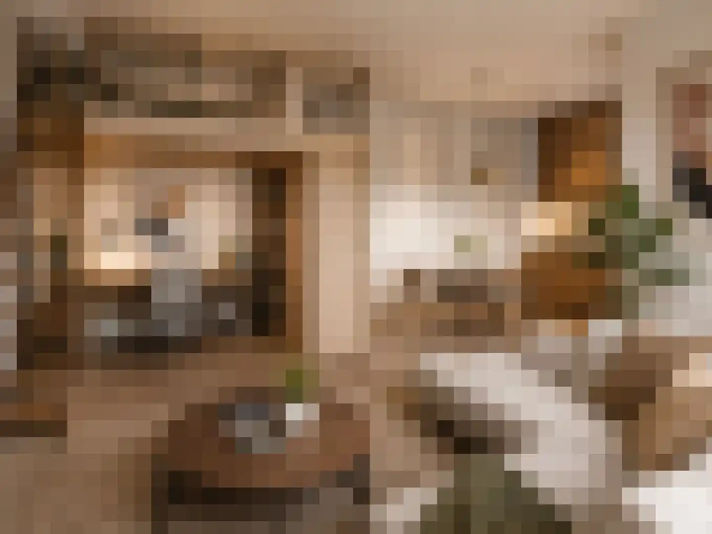 Groene Kamer 42 Aalten thumbnail 6
