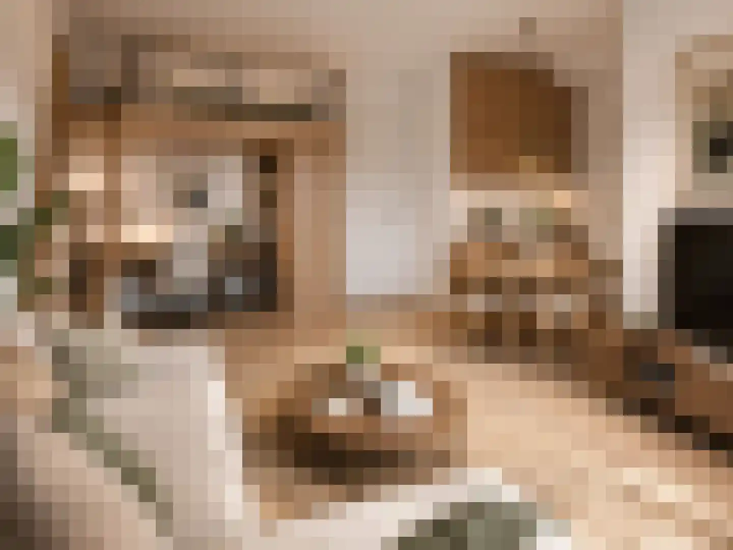 Groene Kamer 42 Aalten thumbnail 8