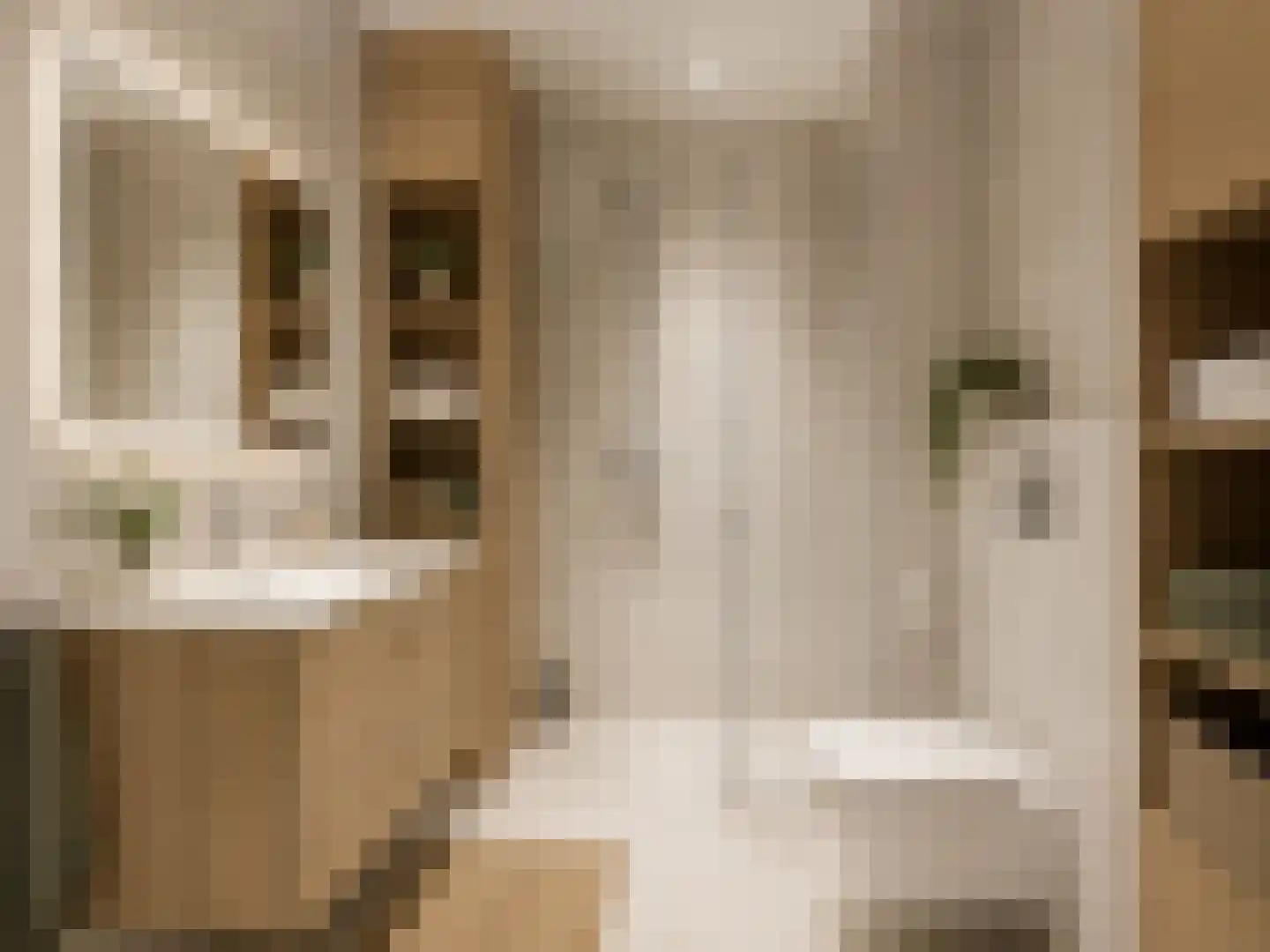 Groene Kamer 44 Aalten thumbnail 10