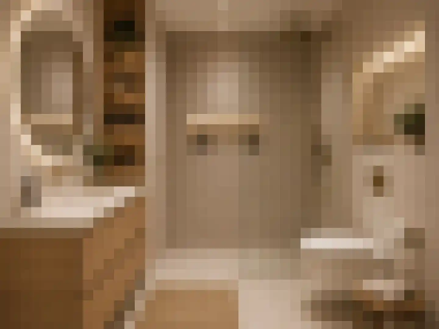 Groene Kamer 44 Aalten thumbnail 11