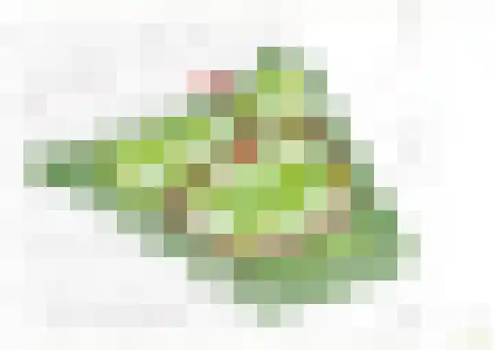 Groene Kamer 7 Aalten thumbnail 9