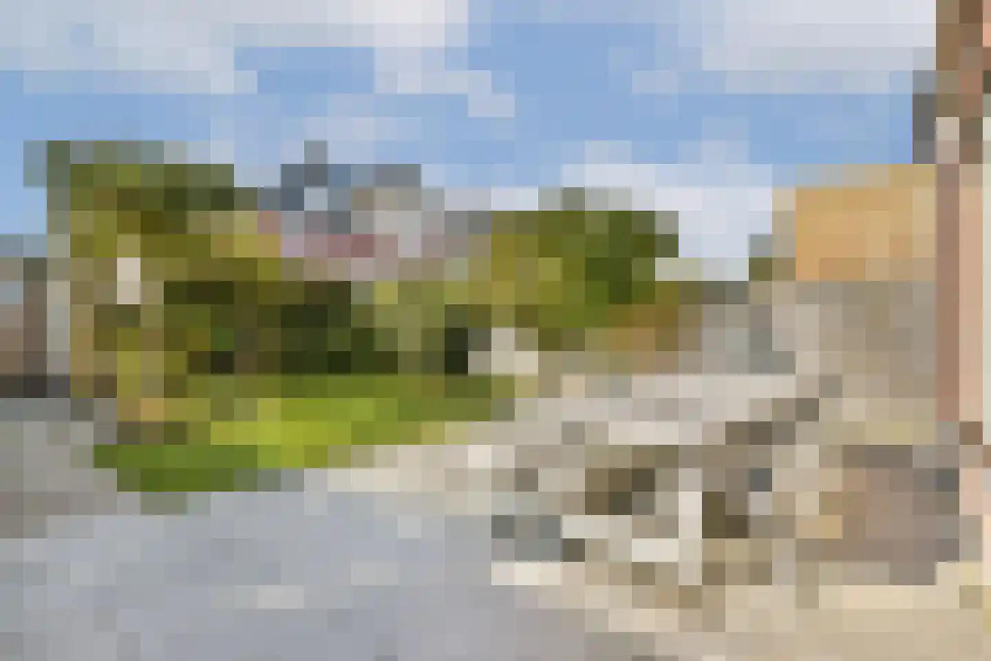 Groene Kikker 11 Uithoorn thumbnail 12