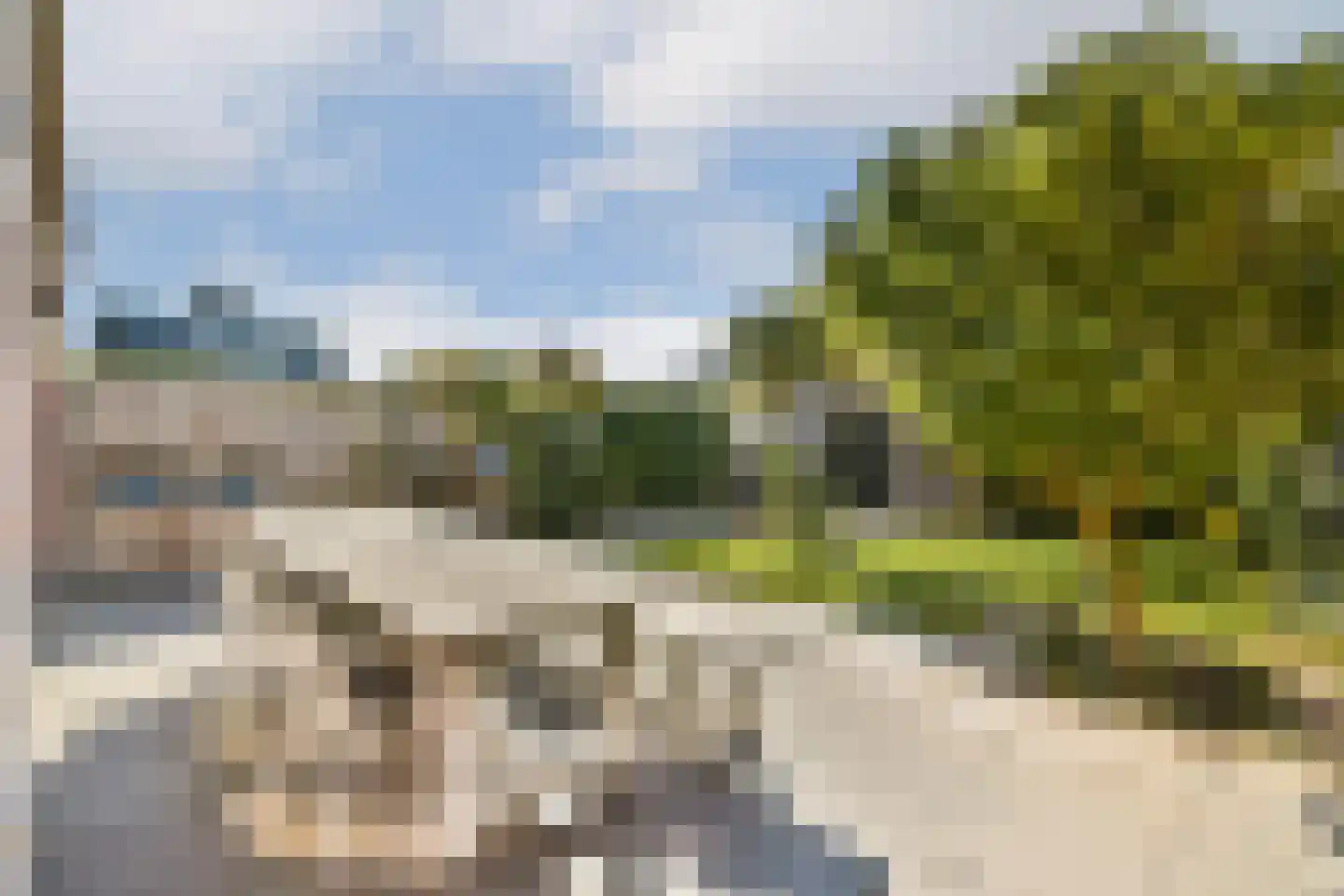 Groene Kikker 11 Uithoorn thumbnail 13