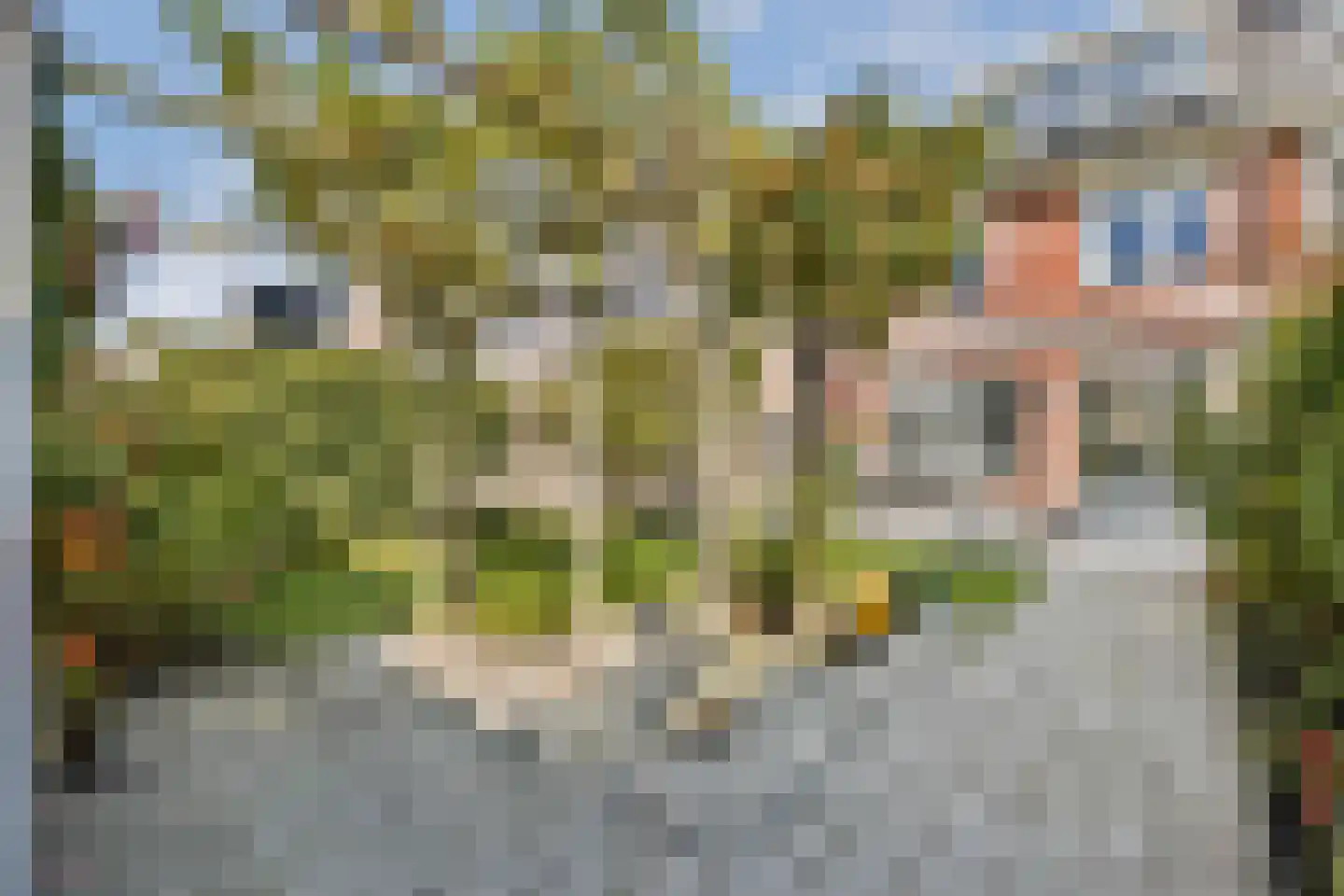 Groene Kikker 11 Uithoorn thumbnail 14