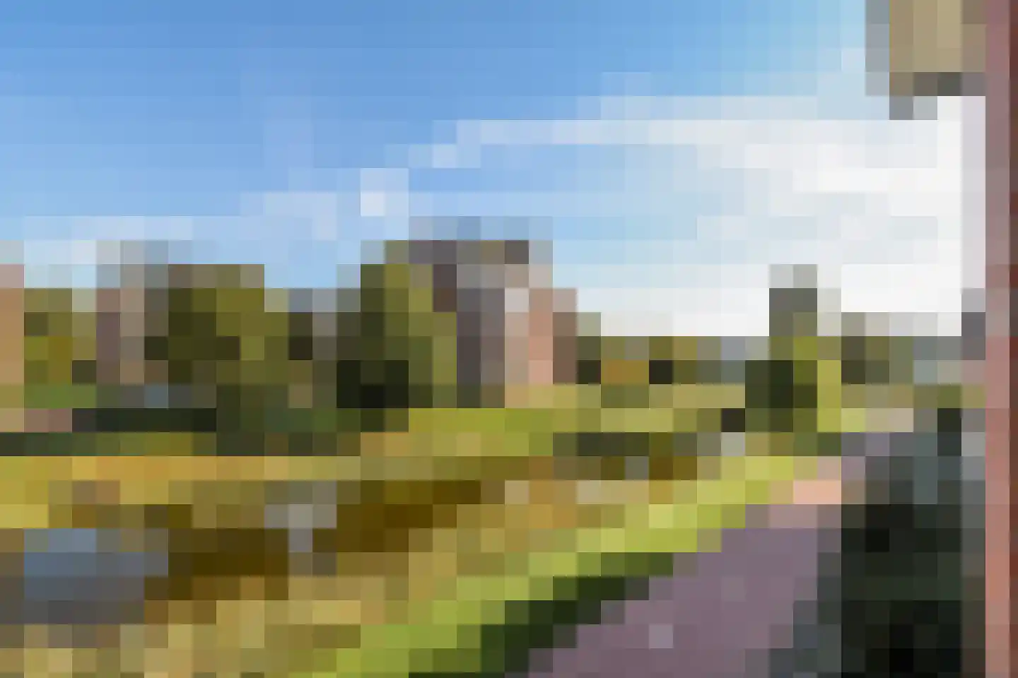 Groene Kikker 11 Uithoorn thumbnail 20