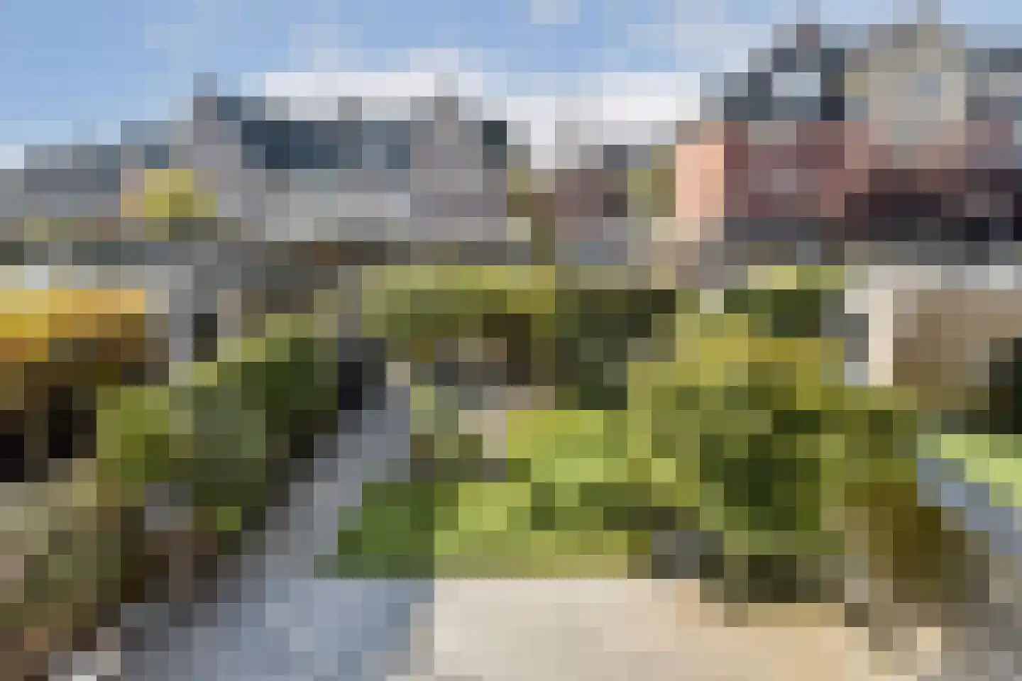 Groene Kikker 11 Uithoorn thumbnail 28