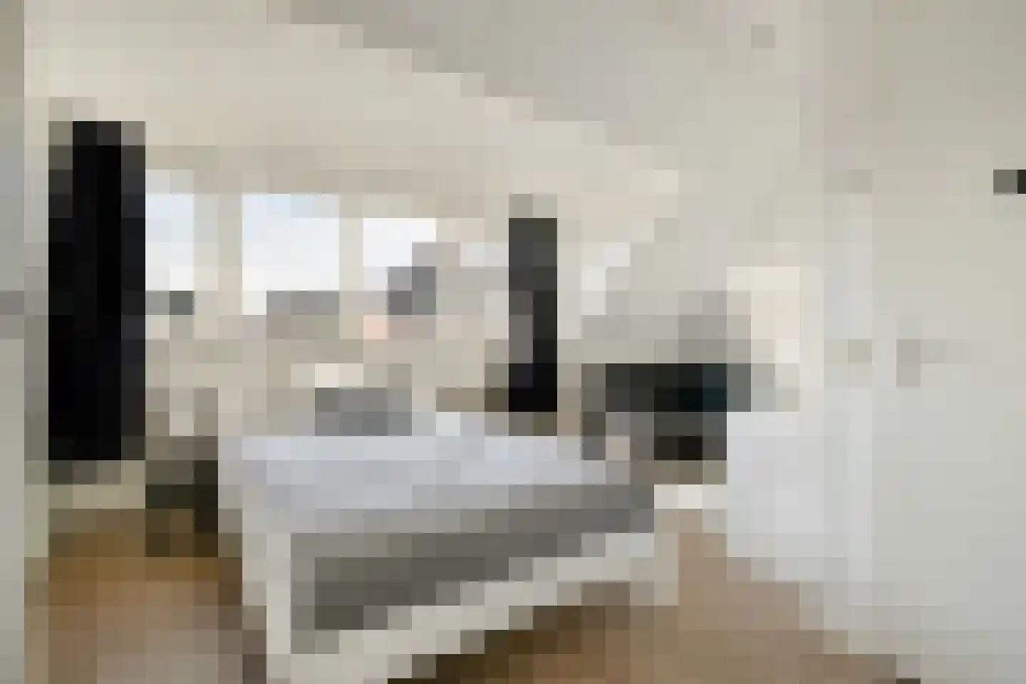 Groene Kikker 11 Uithoorn thumbnail 30