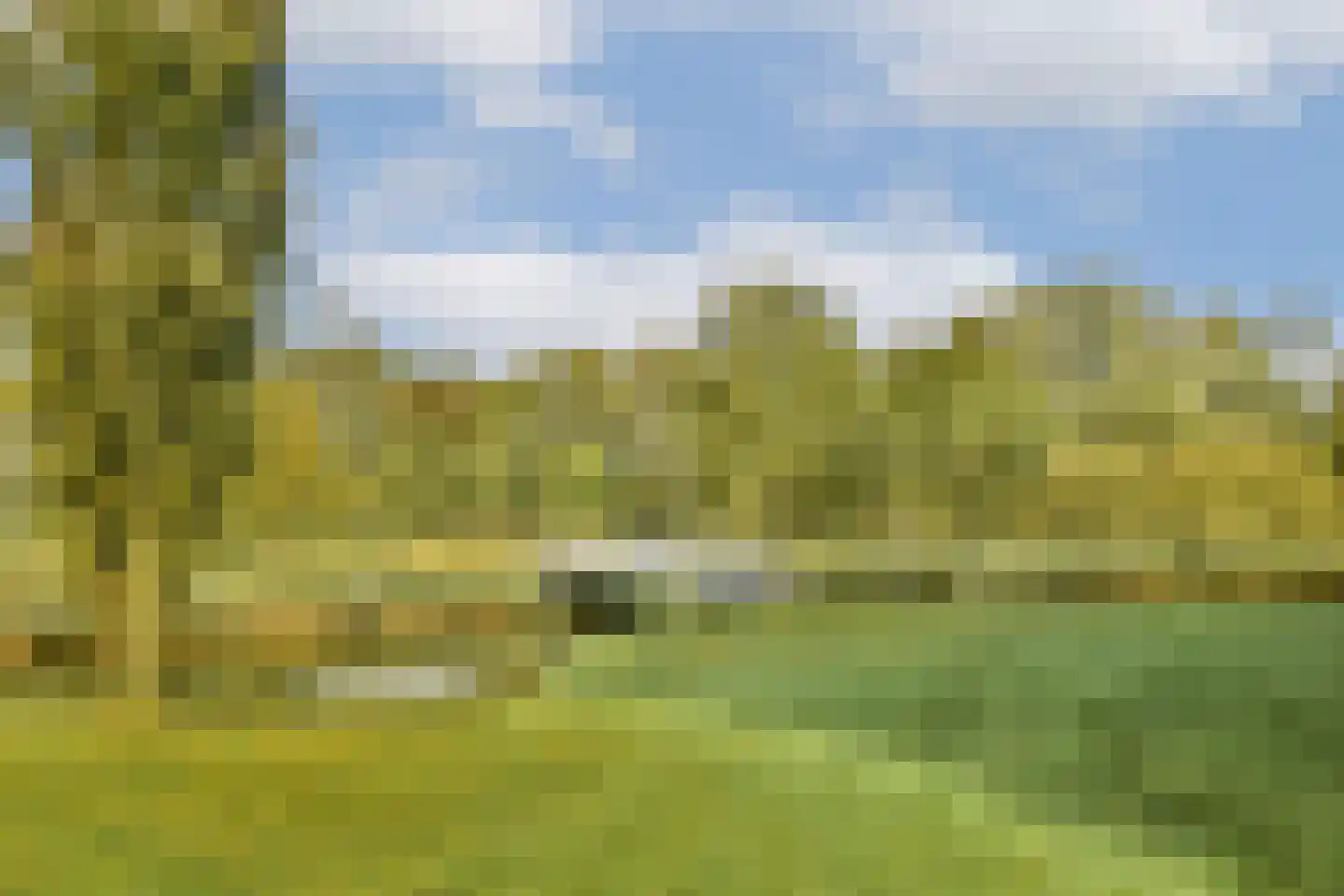 Groene Kikker 11 Uithoorn thumbnail 40