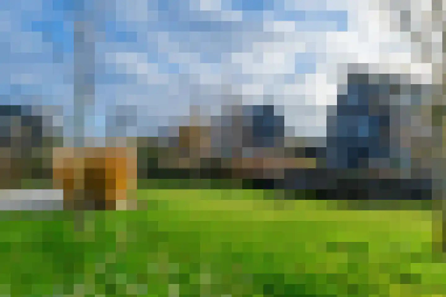 Groene kikker 2 Muiden thumbnail 25