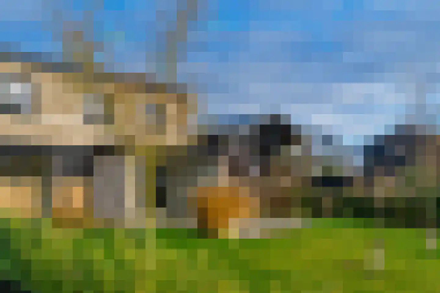Groene kikker 2 Muiden thumbnail 26