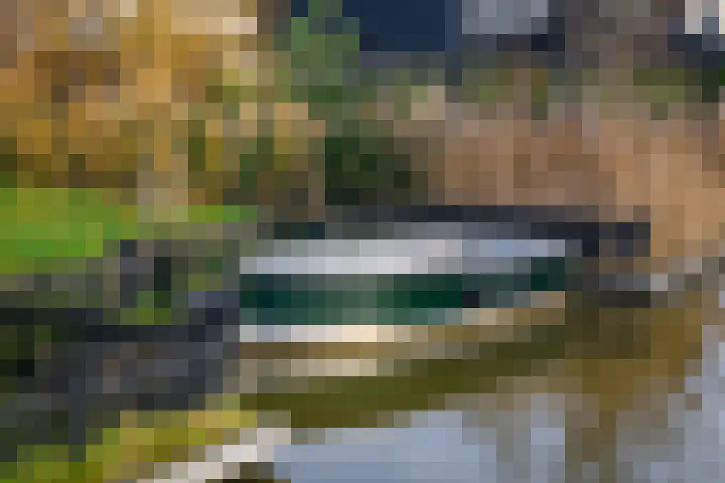Groene kikker 2 Muiden thumbnail 26