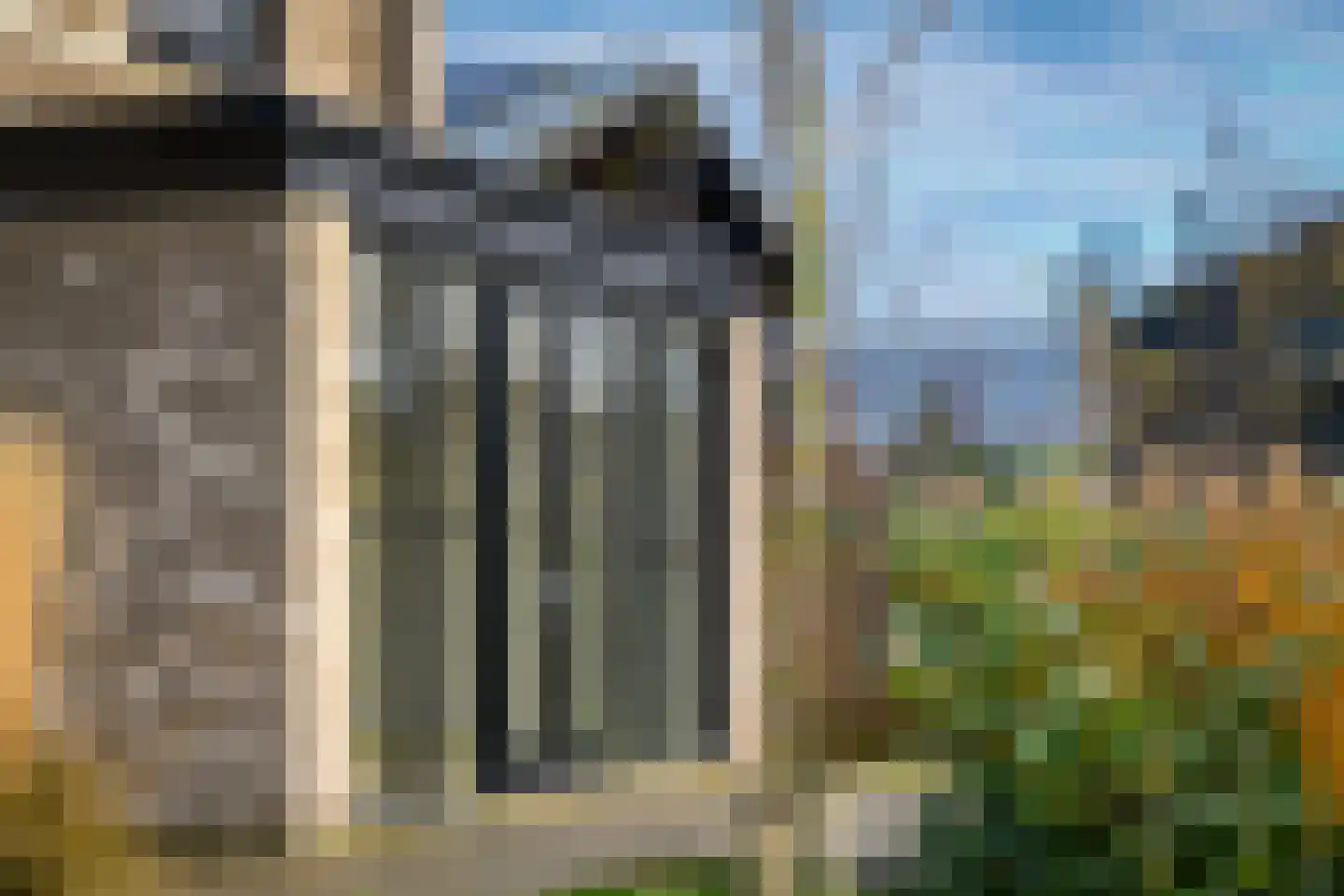 Groene kikker 2 Muiden thumbnail 28