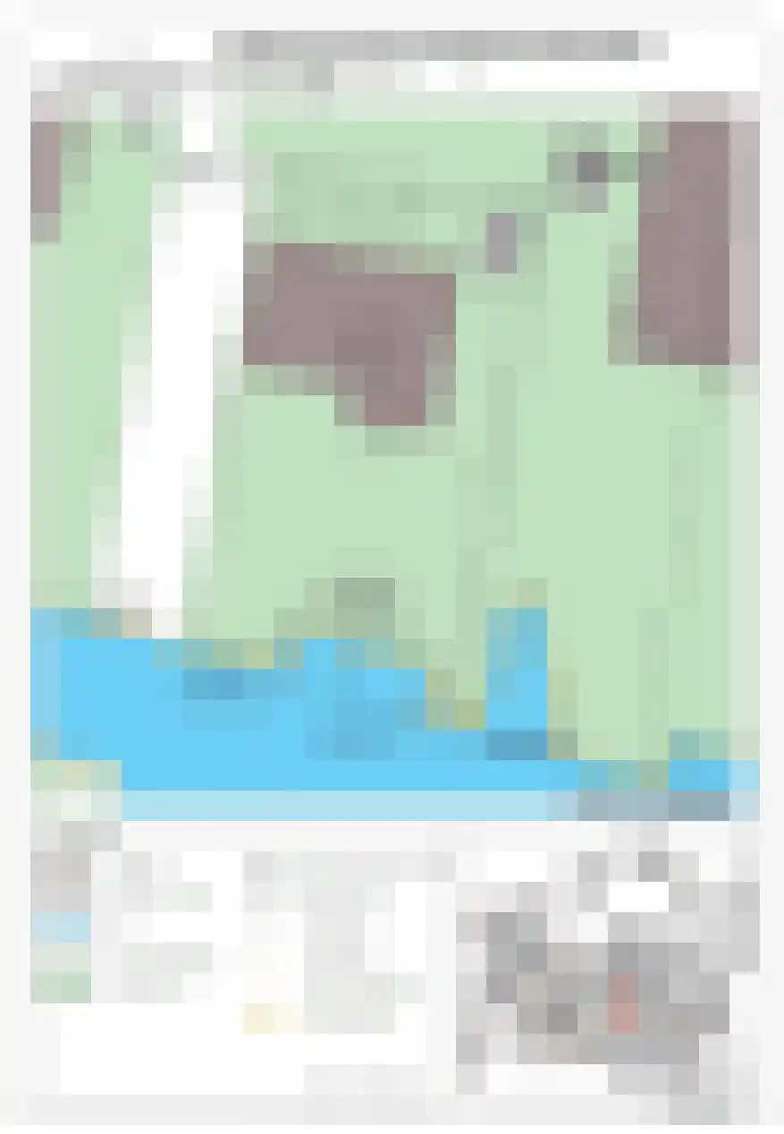 Groene kikker 2 Muiden thumbnail 34