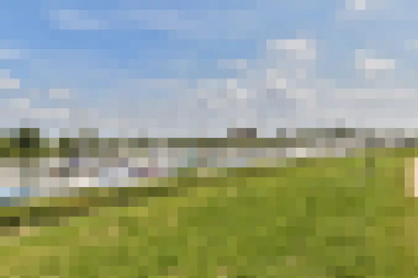 Groene kikker 2 Muiden thumbnail 36