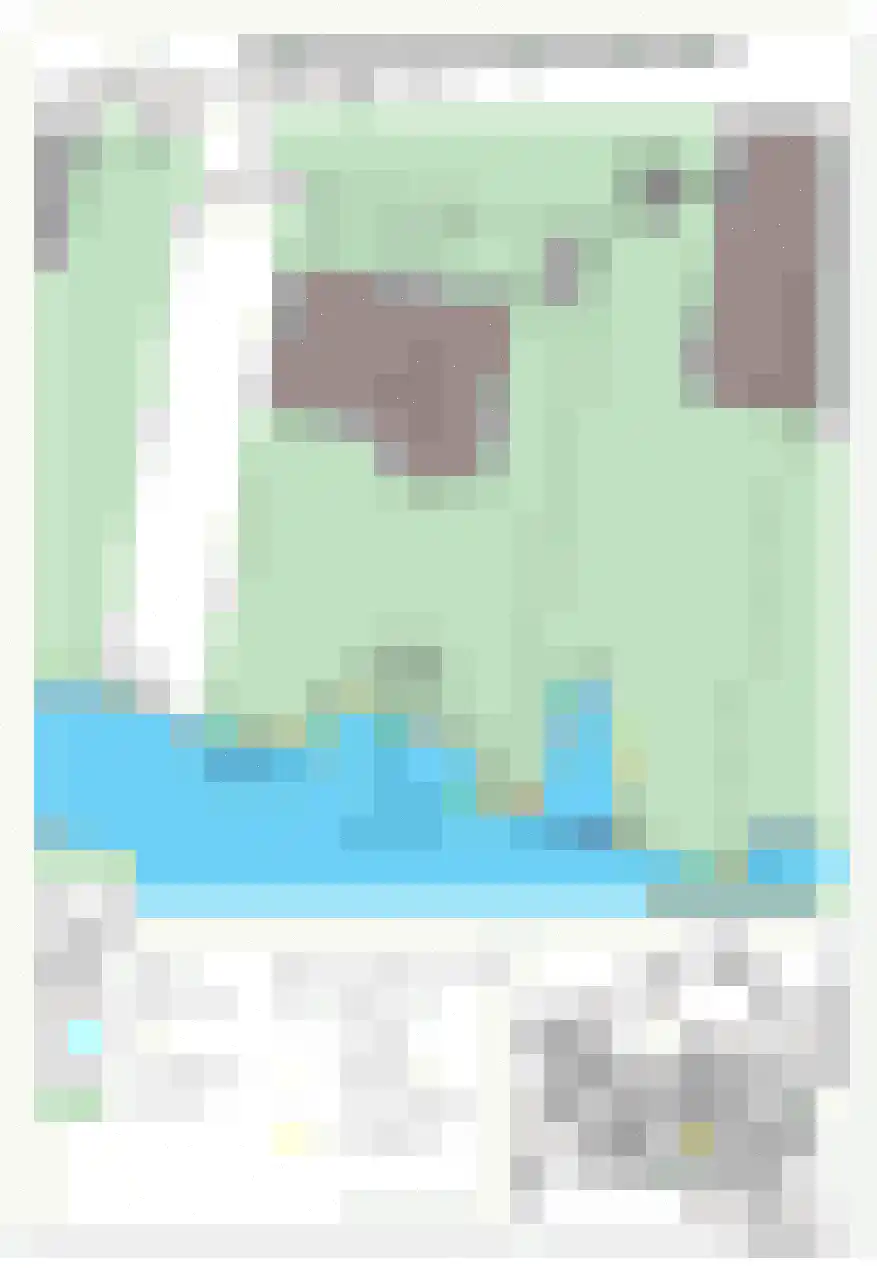 Groene kikker 2 Muiden thumbnail 36