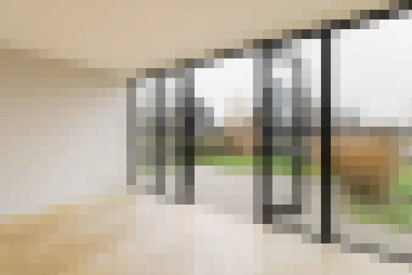 Groene kikker 2 Muiden thumbnail 8