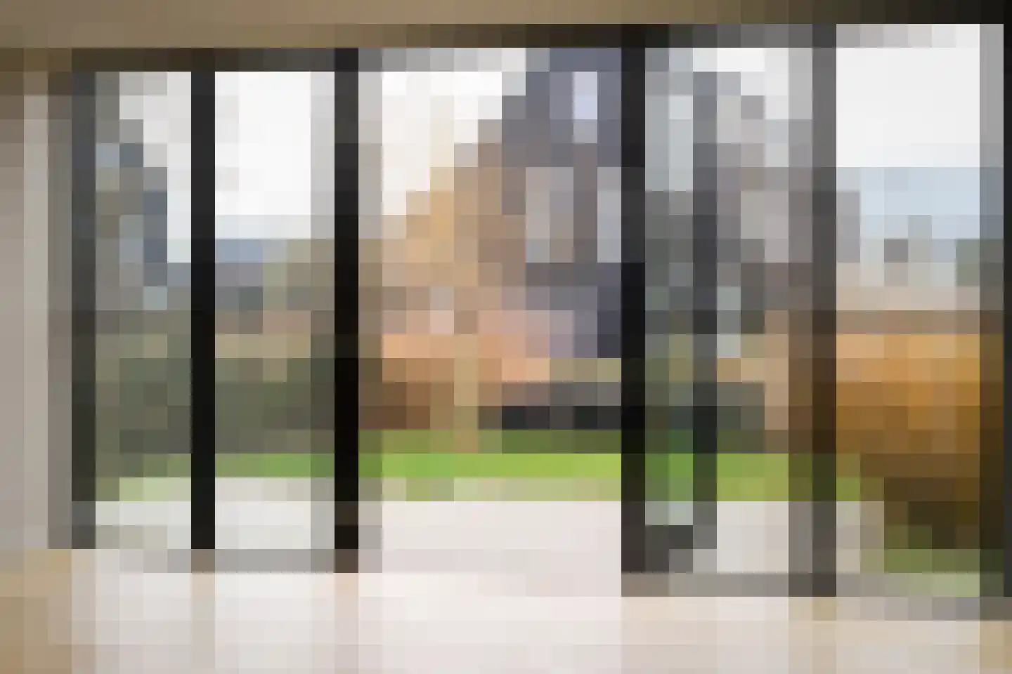 Groene kikker 2 Muiden thumbnail 9