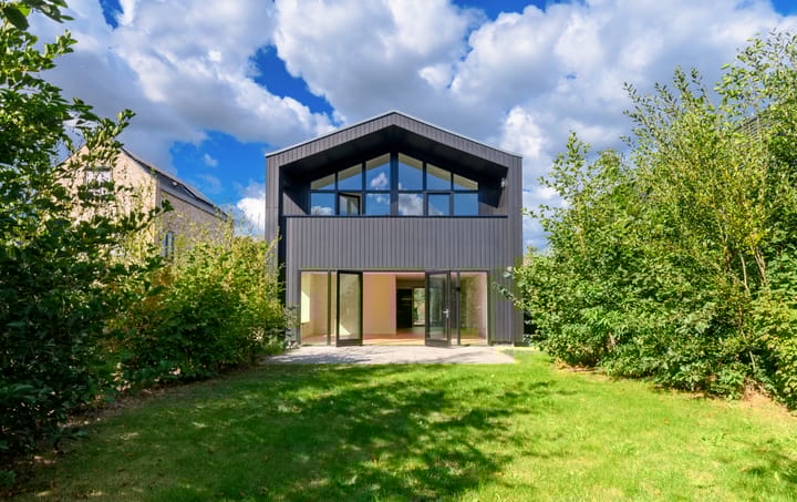 Groene kikker 4 in Muiden foto