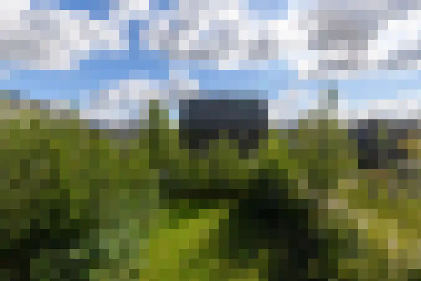 Groene kikker 4 Muiden thumbnail 26