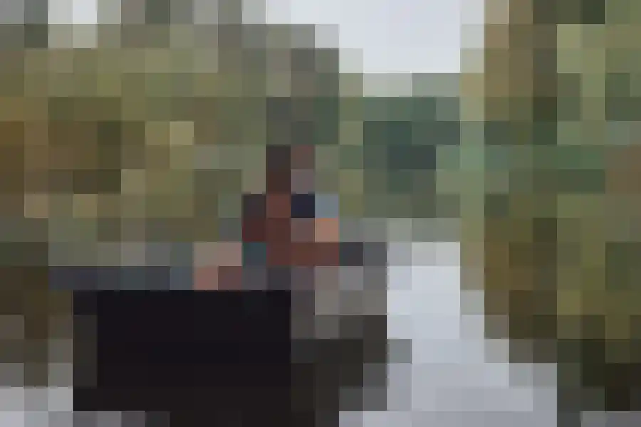 Groene kikker 4 Muiden thumbnail 40