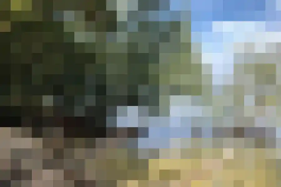 Groene kikker 4 Muiden thumbnail 41