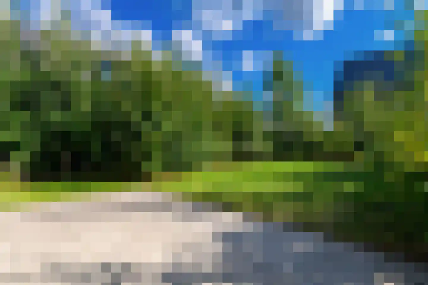 Groene kikker 4 Muiden thumbnail 8