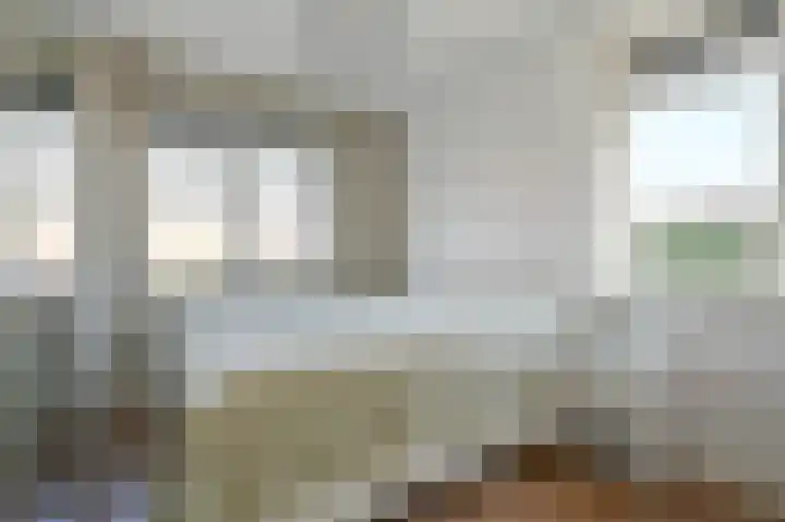 Groene Kikker 4 Uithoorn thumbnail 10