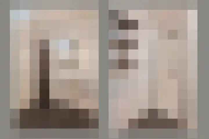 Groene Kikker 4 Uithoorn thumbnail 14