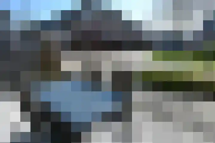Groene Kikker 4 Uithoorn thumbnail 17