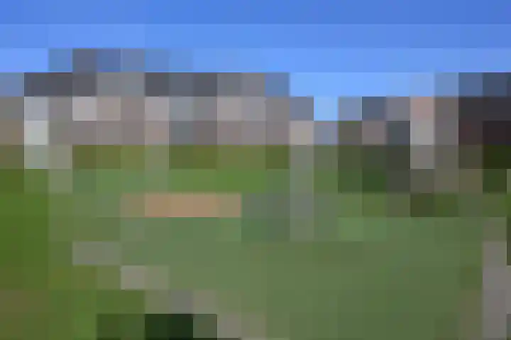 Groene Kikker 4 Uithoorn thumbnail 18
