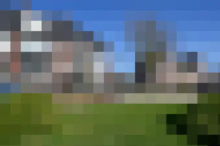 Groene Kikker 4 Uithoorn thumbnail 19
