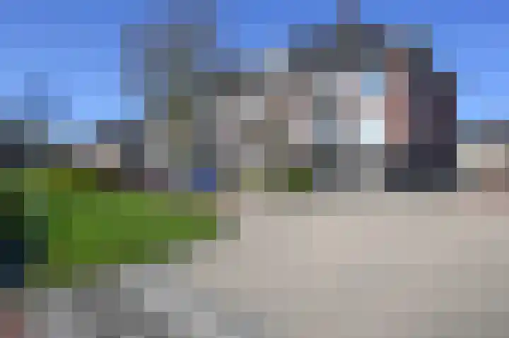 Groene Kikker 4 Uithoorn thumbnail 20