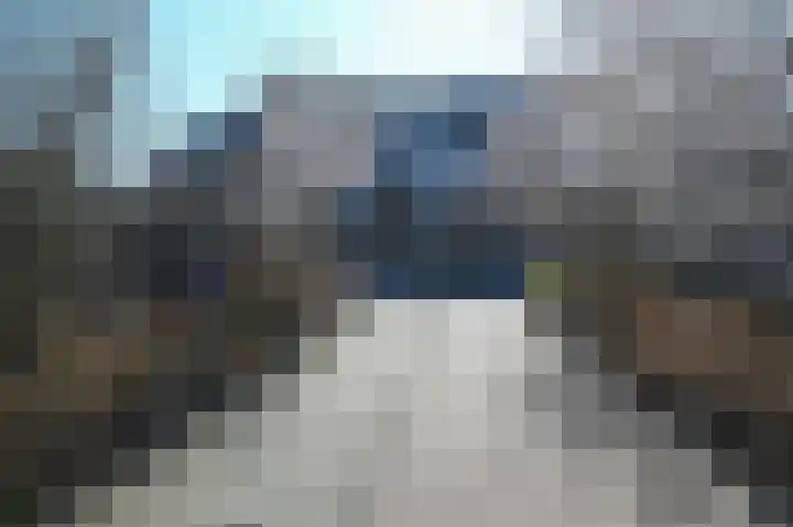 Groene Kikker 4 Uithoorn thumbnail 21