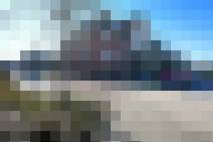 Groene Kikker 4 Uithoorn thumbnail 22
