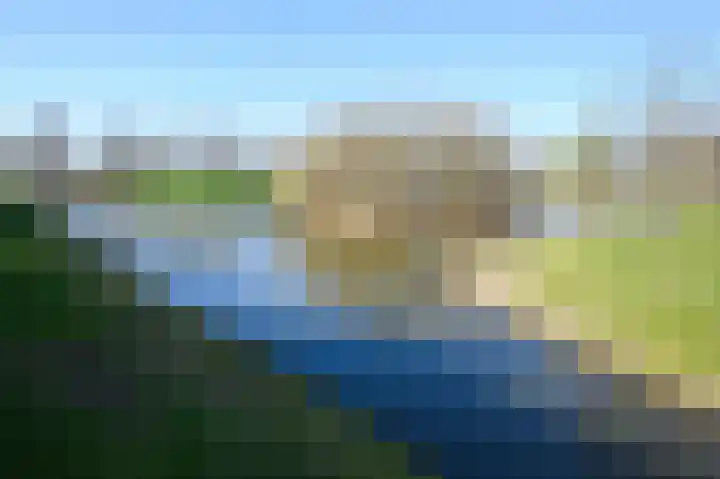 Groene Kikker 4 Uithoorn thumbnail 24