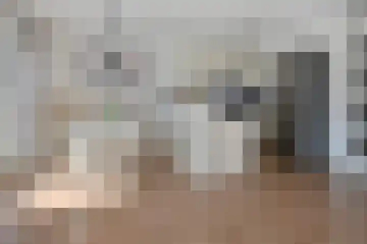 Groene Kikker 4 Uithoorn thumbnail 4