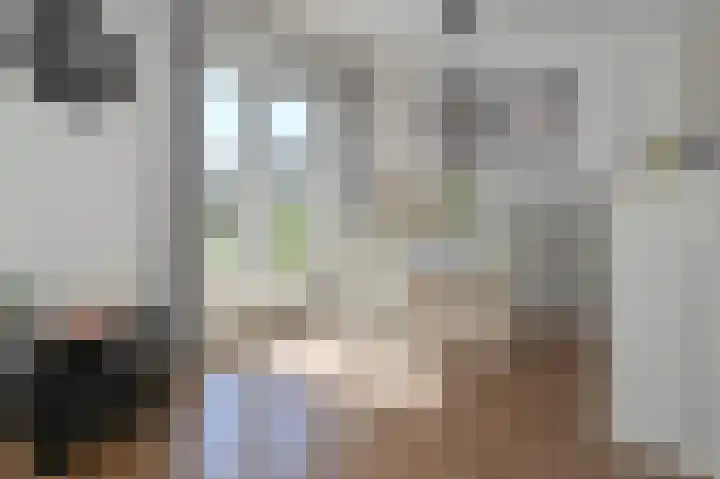Groene Kikker 4 Uithoorn thumbnail 7