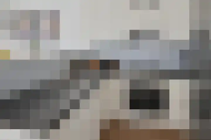 Groene Kikker 4 Uithoorn thumbnail 8