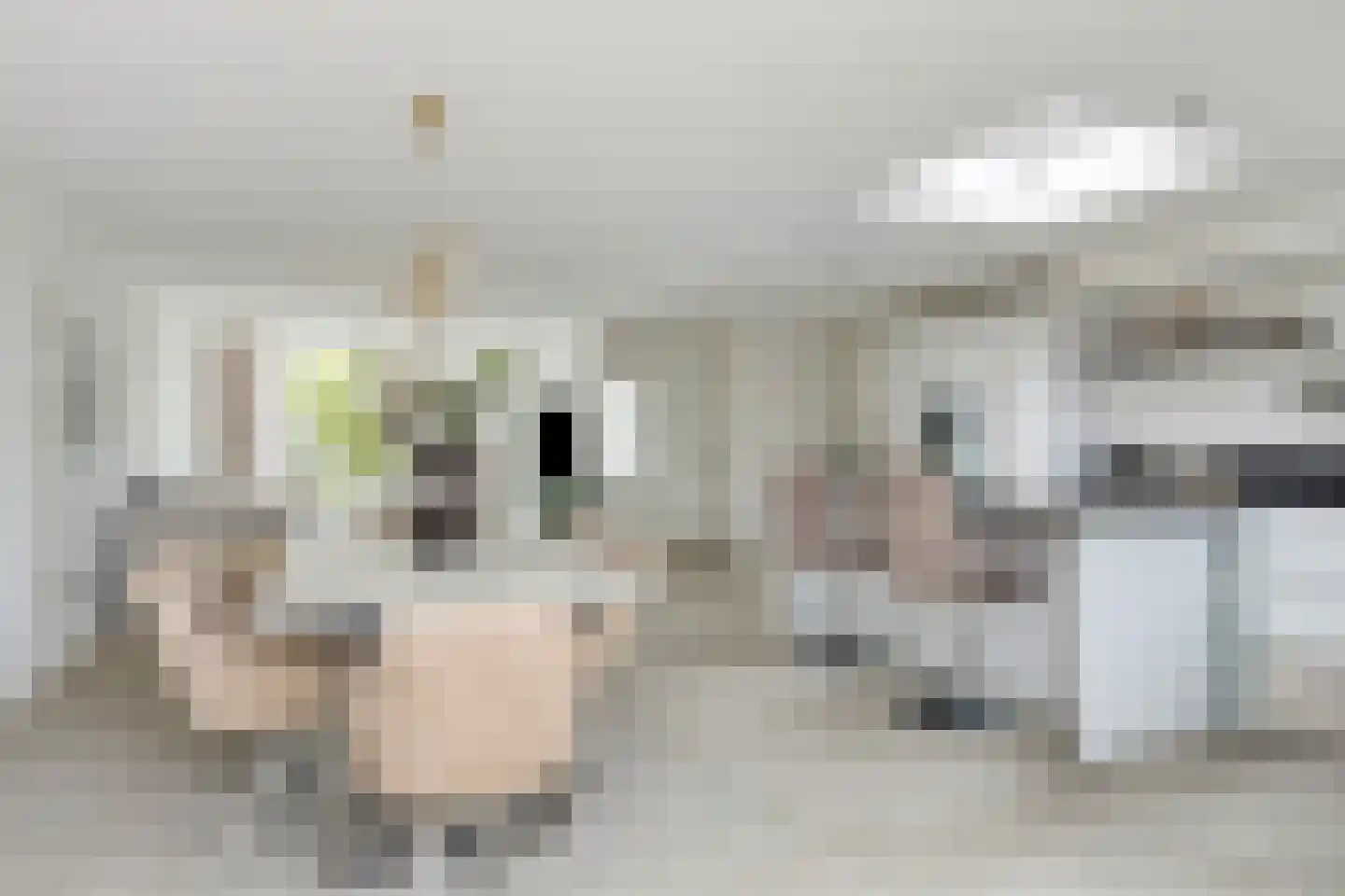 Groene Kruisstraat 112 Dinteloord thumbnail 11